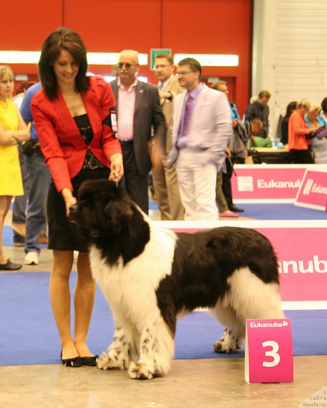 Фотография № 134549