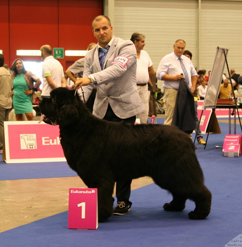 Фотография № 134551