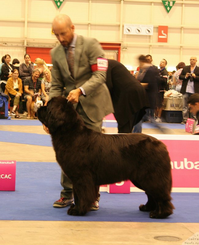 Фотография № 134553