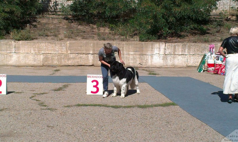 Фото: Елена Горбунова