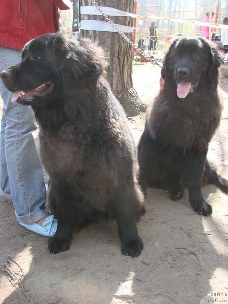 Фото: Наталия Ничипоренко