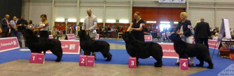 Фотография № 134561