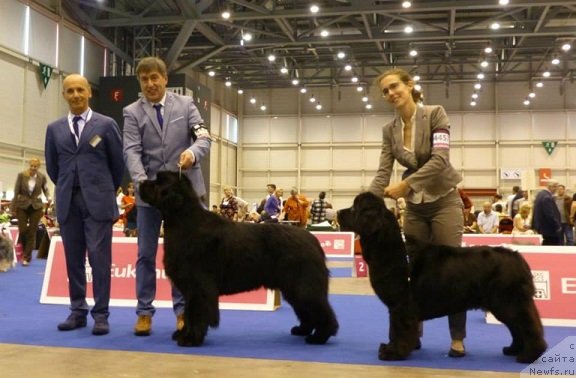 Фотография № 134562