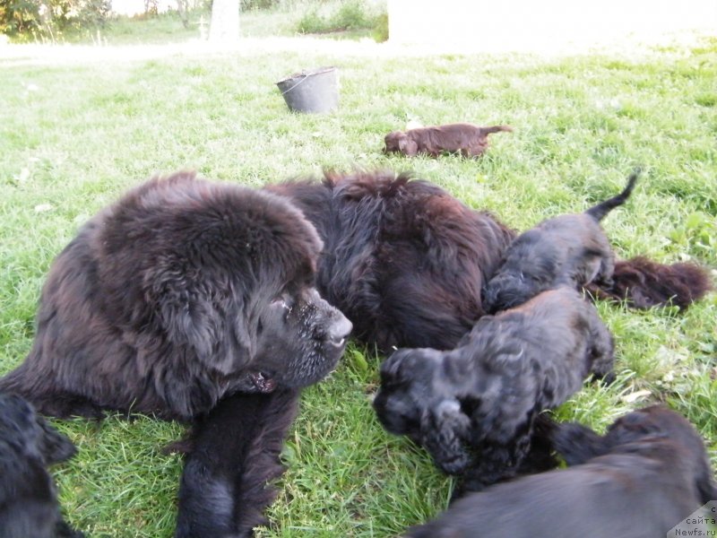 Фотография № 134586