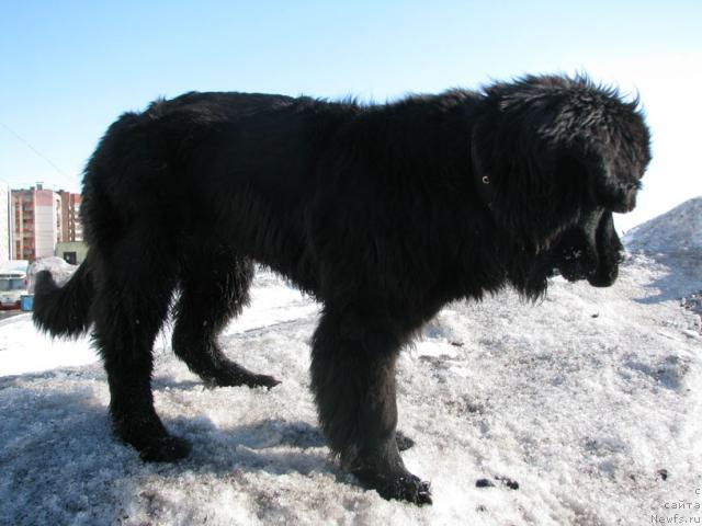 Фотография № 13468