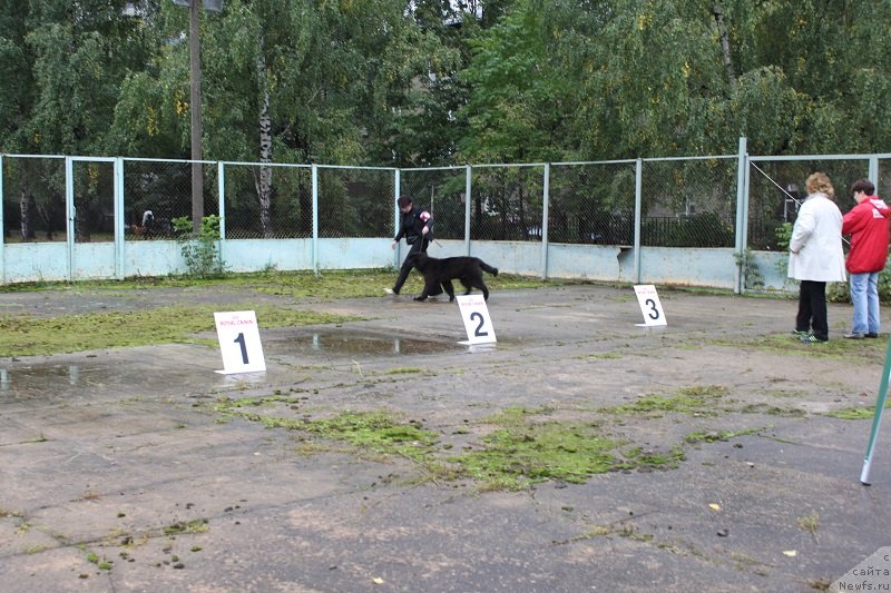 Фотография № 134681