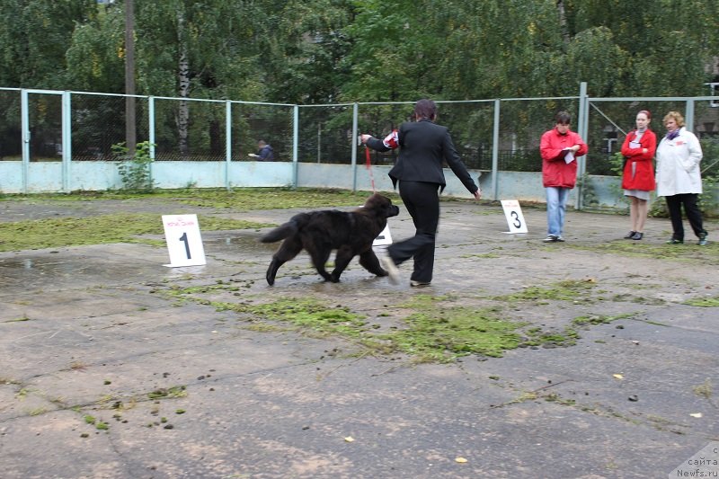 Фотография № 134682