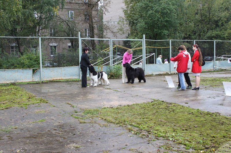 Фотография № 134686