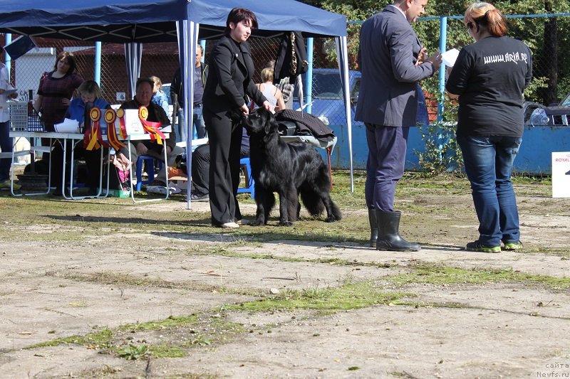 Фотография № 134689