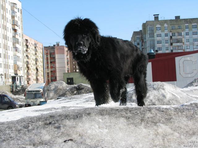 Фотография № 13469