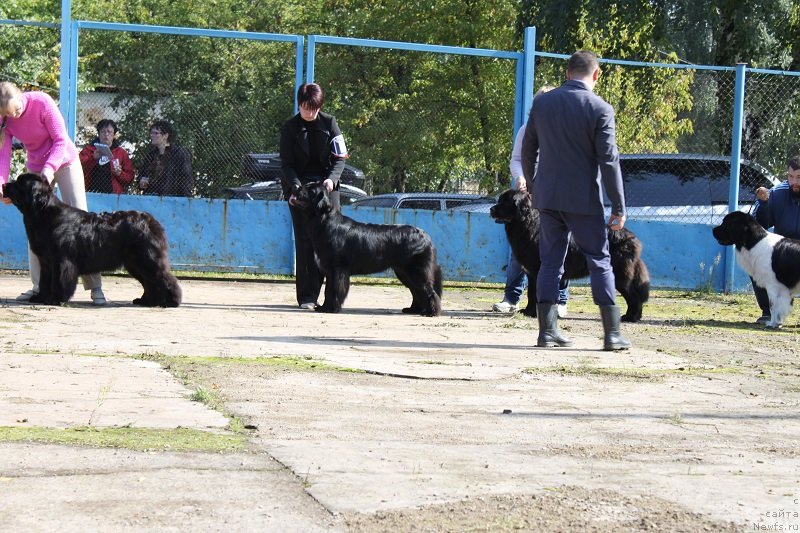 Фотография № 134691