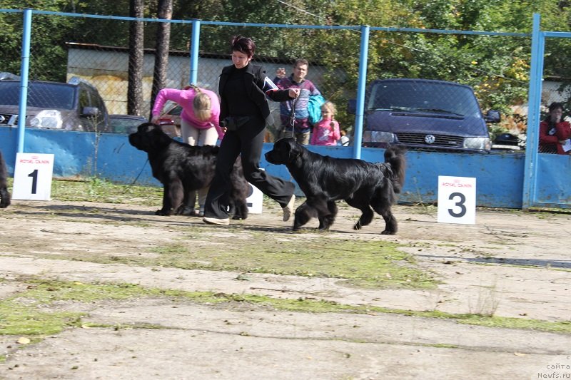 Фотография № 134692