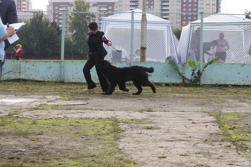 Фотография № 134693