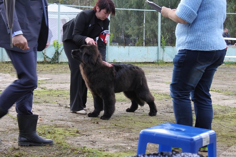 Фотография № 134696