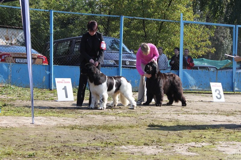 Фотография № 134697