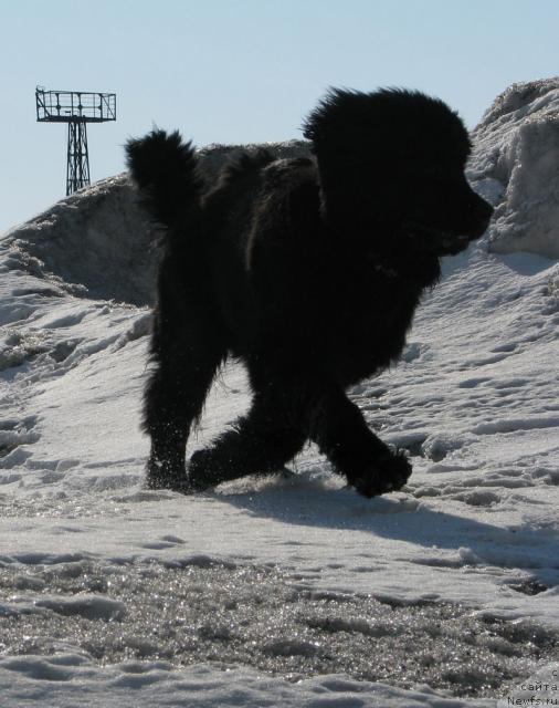 Фотография № 13470