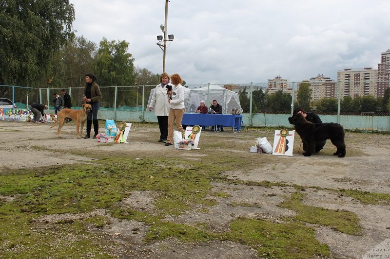 Фотография № 134702