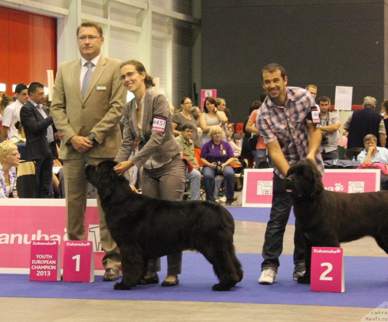 Фотография № 134704