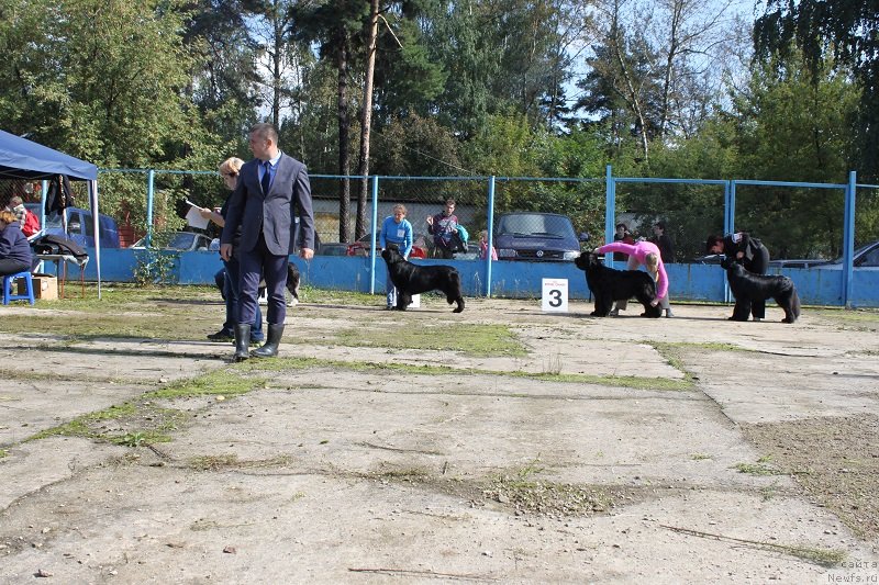 Фотография № 134709