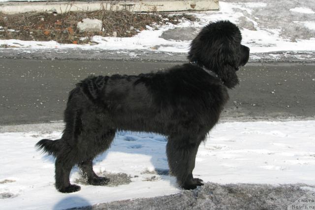 Фотография № 13471