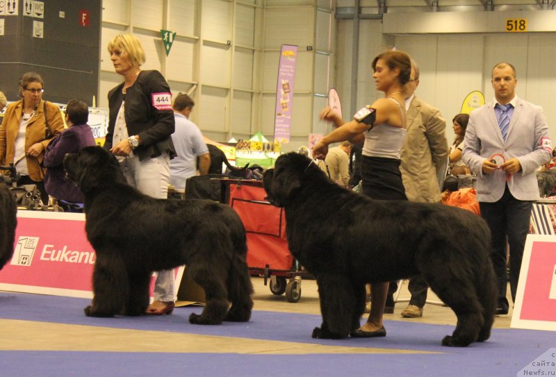 Фотография № 134712