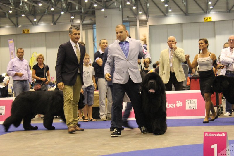 Фотография № 134714