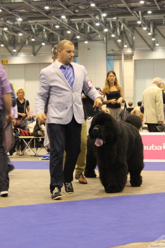 Фотография № 134715