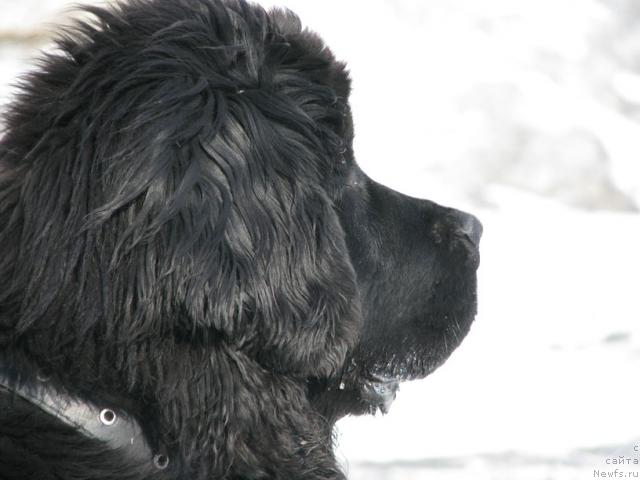 Фотография № 13473