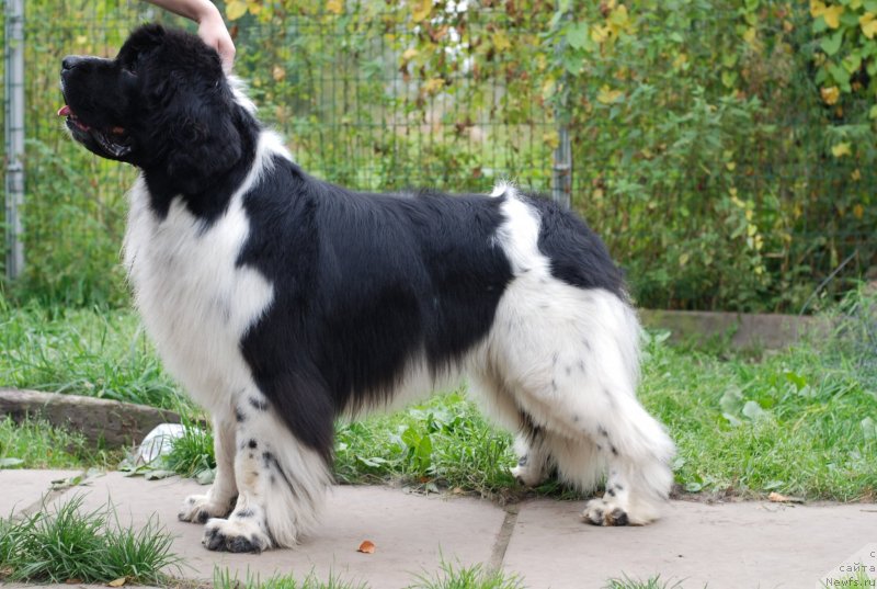 Фотография № 134754