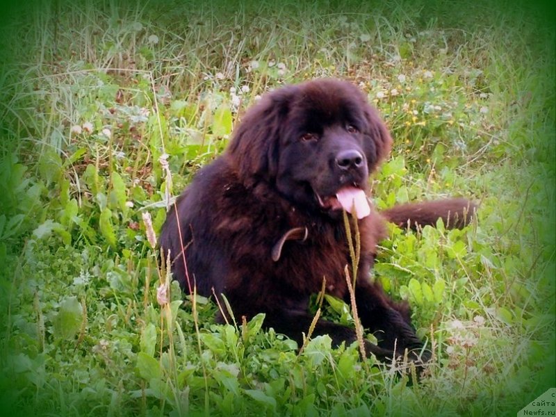 Фотография № 134759