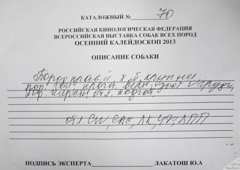 Фотография № 134782