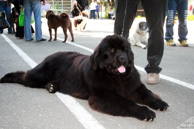 Фотография № 13480