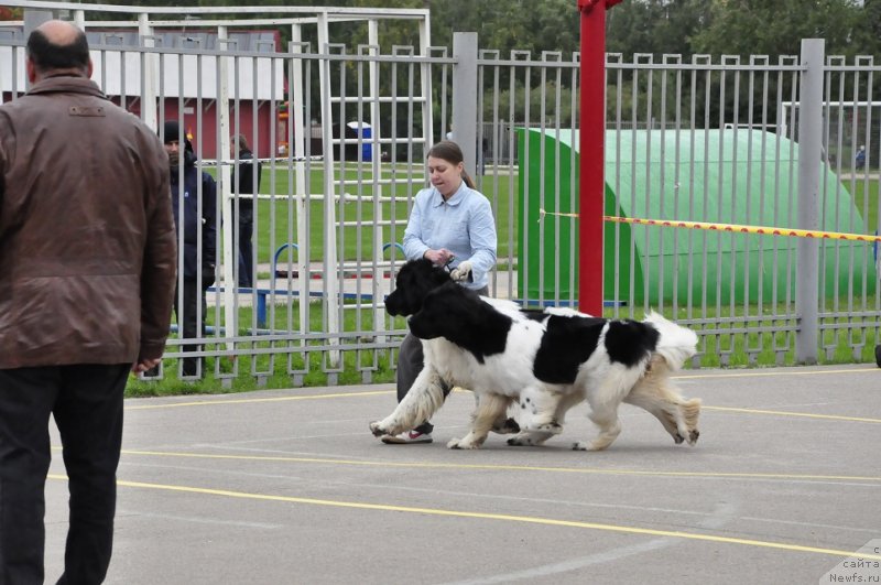 Фотография № 134834