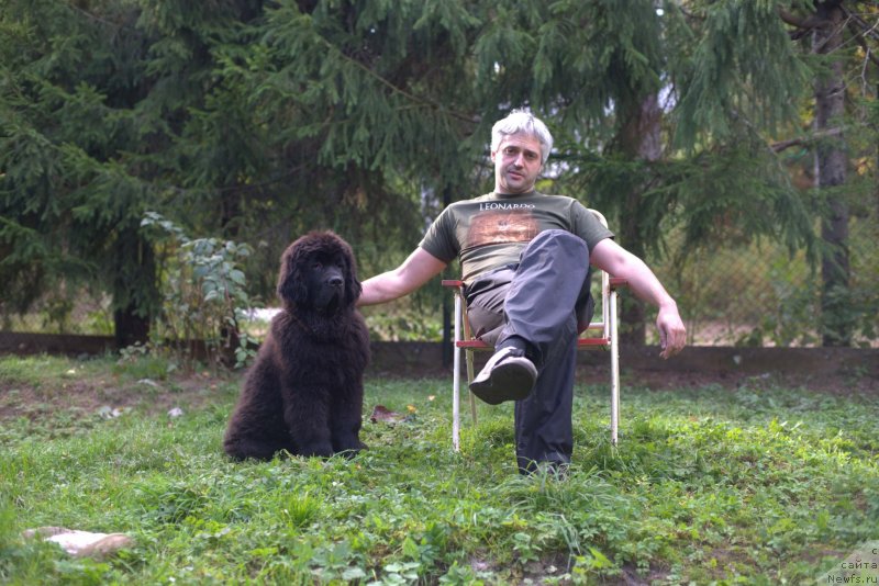 Фото: ньюфаундленд Смигар Ливерпульский Четвертак (Smigar Liverpulsiy Chetvertak), с хозяином Максимом