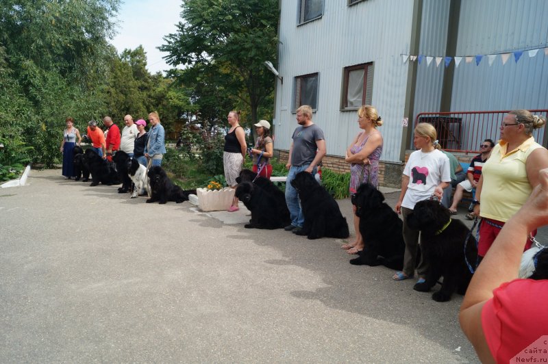 Фотография № 134892