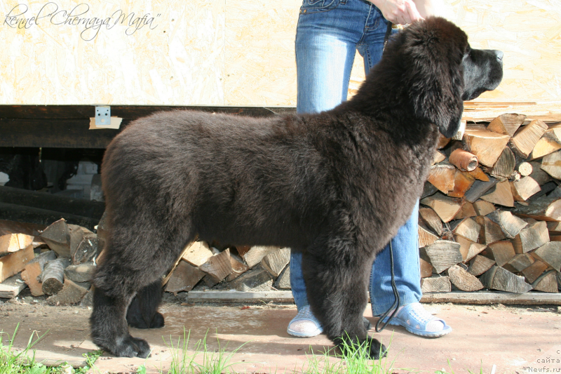 Фотография № 134898