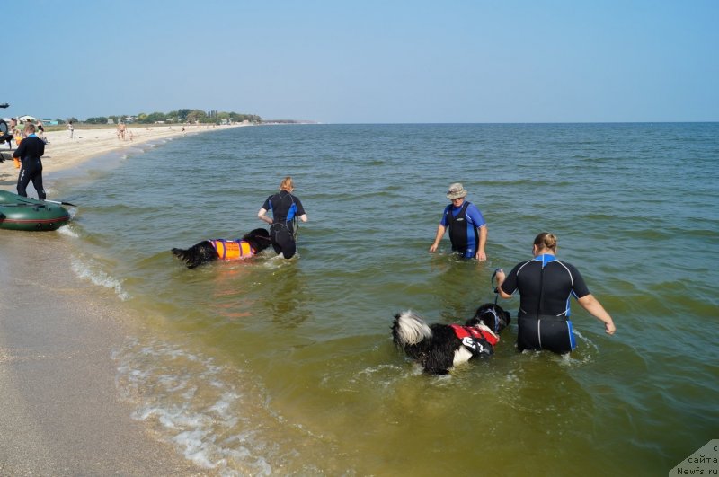 Фотография № 134912