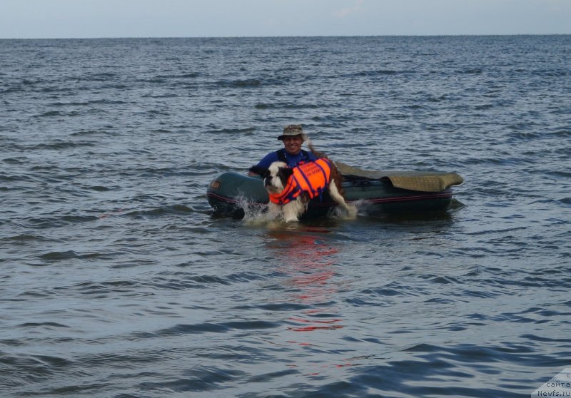 Фотография № 134915