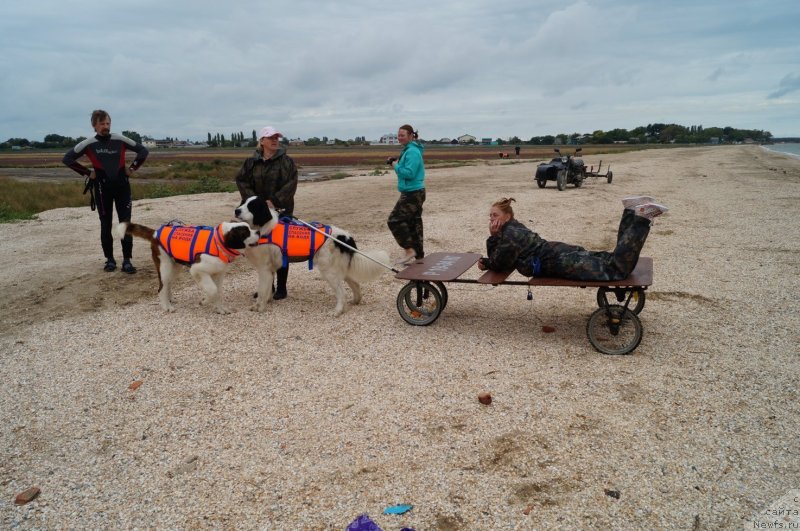 Фотография № 134917