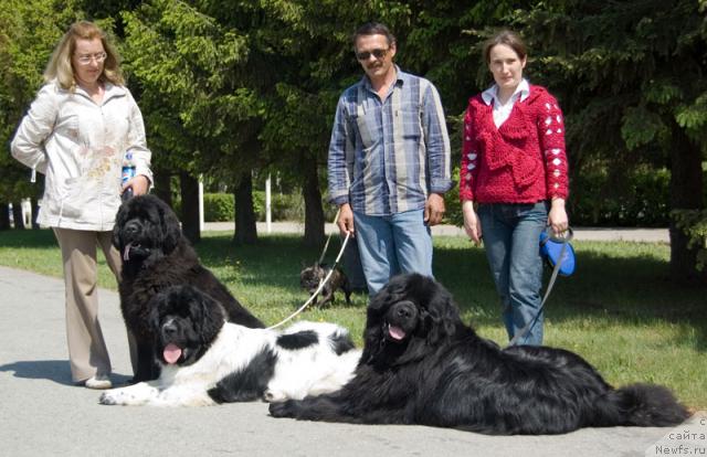 Фото: ньюфаундленд Лесная Сказка Руслана, ньюфаундленд Супер Бизон Батон, ньюфаундленд Юган с Тоянова Городка (Ygan s Toyanova Gorodka)