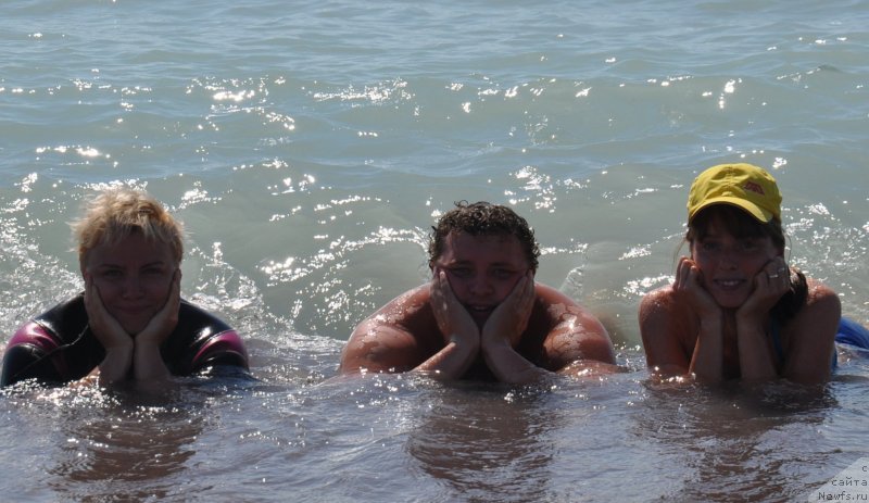 Фотография № 134938