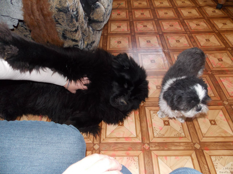 Фотография № 134963