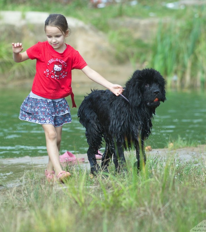 Фотография № 134965