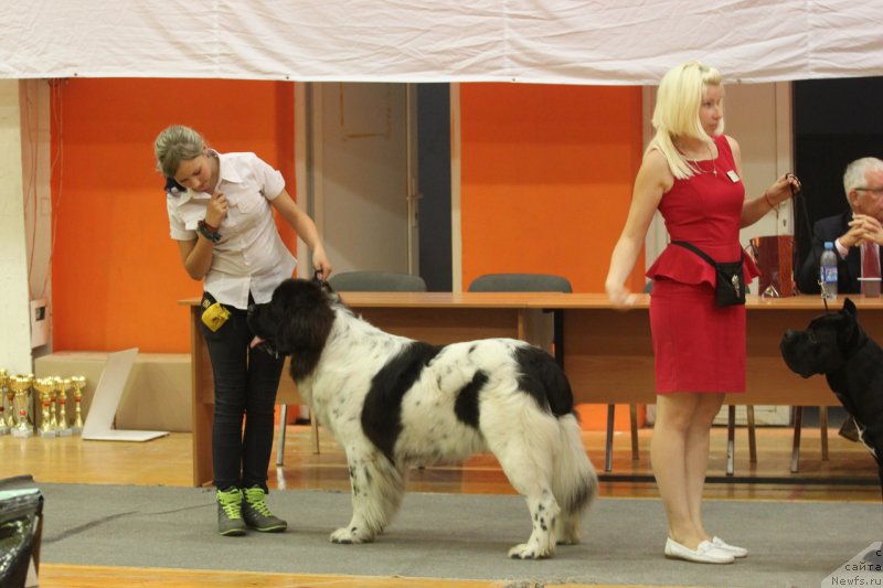 Фотография № 134978