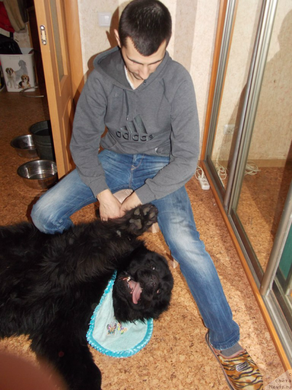 Фотография № 134980