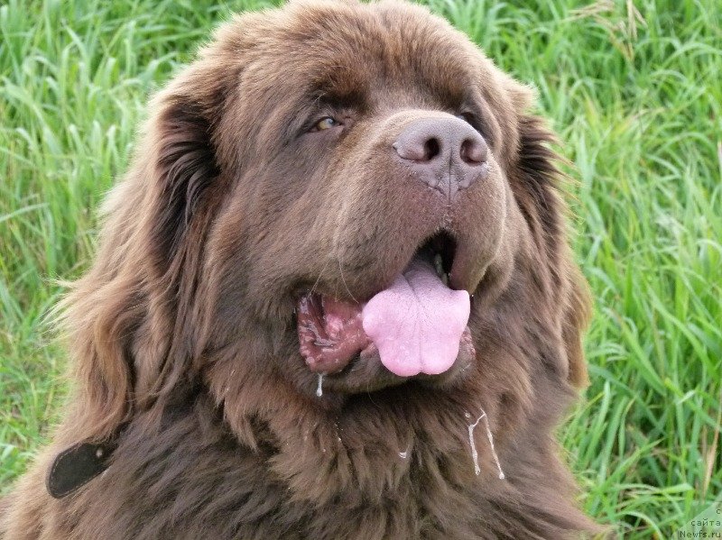 Фотография № 134985