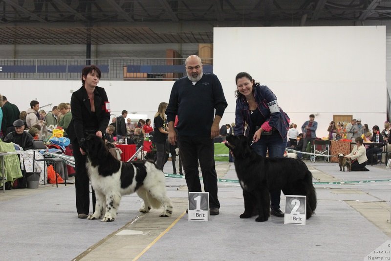 Фотография № 134989