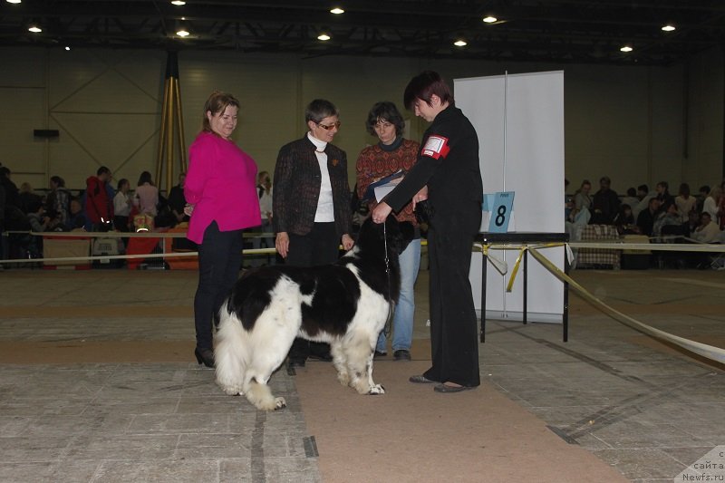 Фотография № 134993