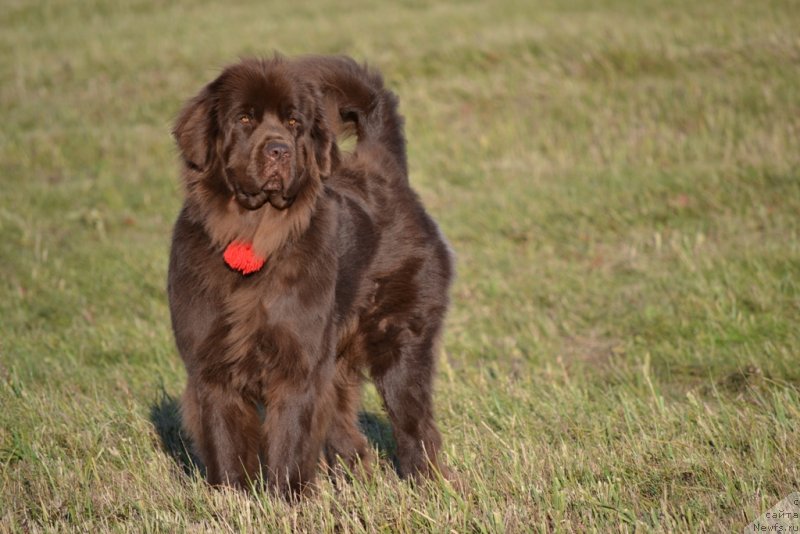 Фотография № 134996