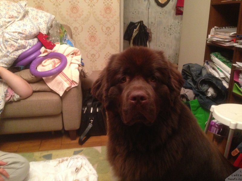 Фотография № 134999